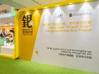 銀光一閃作品 (22)