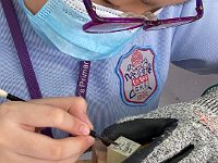 認識非遺-篆刻藝術工作坊 (16)