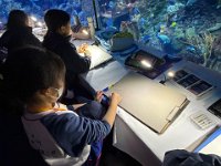 「邊學‧邊畫」海洋公園繪畫比賽 (10)