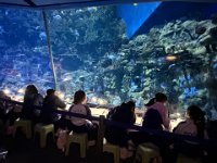 「邊學‧邊畫」海洋公園繪畫比賽 (12)