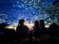 「邊學‧邊畫」海洋公園繪畫比賽 (14)