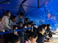 「邊學‧邊畫」海洋公園繪畫比賽 (19)