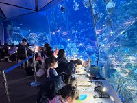 「邊學‧邊畫」海洋公園繪畫比賽 (20)