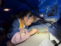 「邊學‧邊畫」海洋公園繪畫比賽 (37)