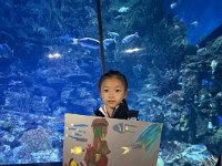 「邊學‧邊畫」海洋公園繪畫比賽 (43)