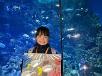 「邊學‧邊畫」海洋公園繪畫比賽 (45)