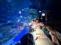 「邊學‧邊畫」海洋公園繪畫比賽 (9)